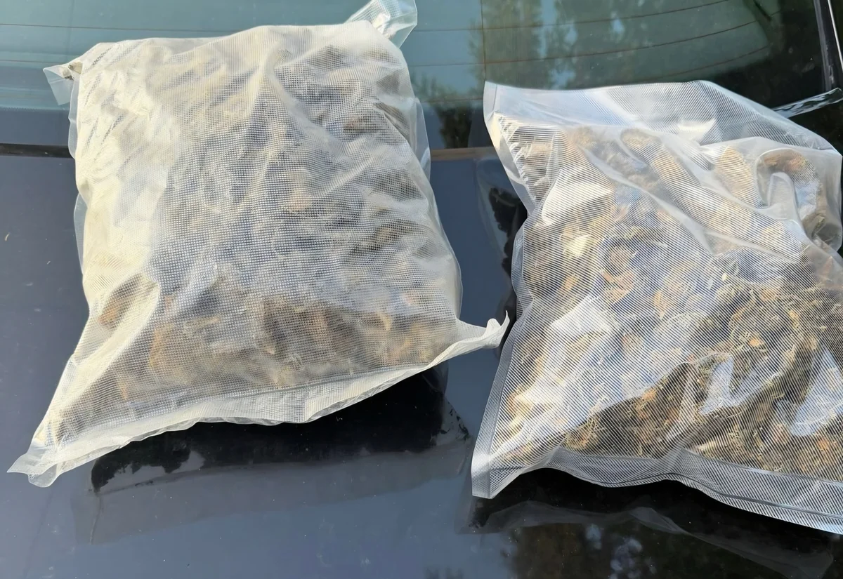 Trei bărbați arestați la Arad după ce au vândut 2 kg de canabis cu 6.600 de euro