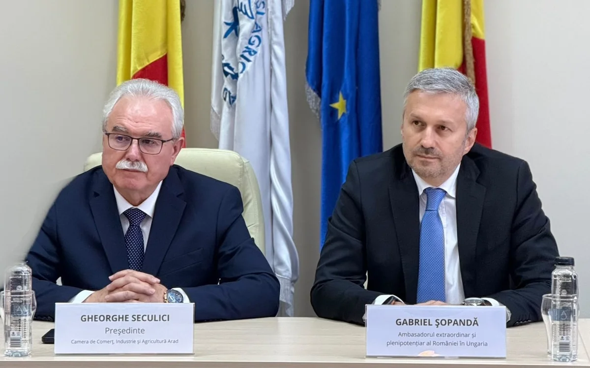 Ambasadorul României în Ungaria a vizitat Aradul pentru cooperare transfrontalieră