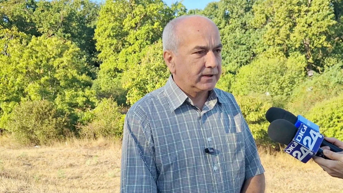 Focul viu arde de peste un an în Parcul Lunca Muresului