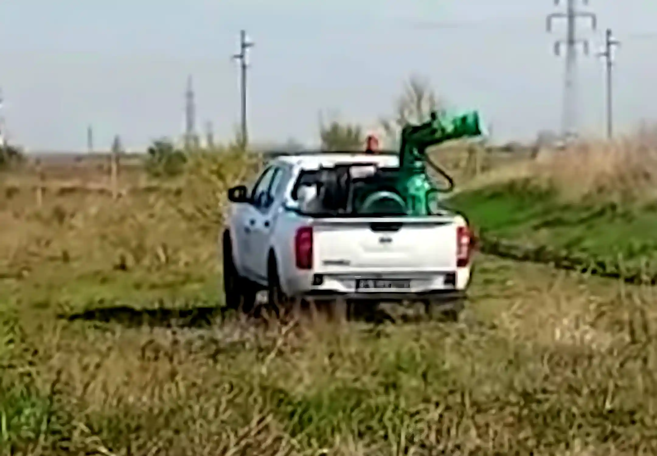 Prima dezinsecție din 2026 în Arad. Când încep tratamentele și ce zone sunt vizate